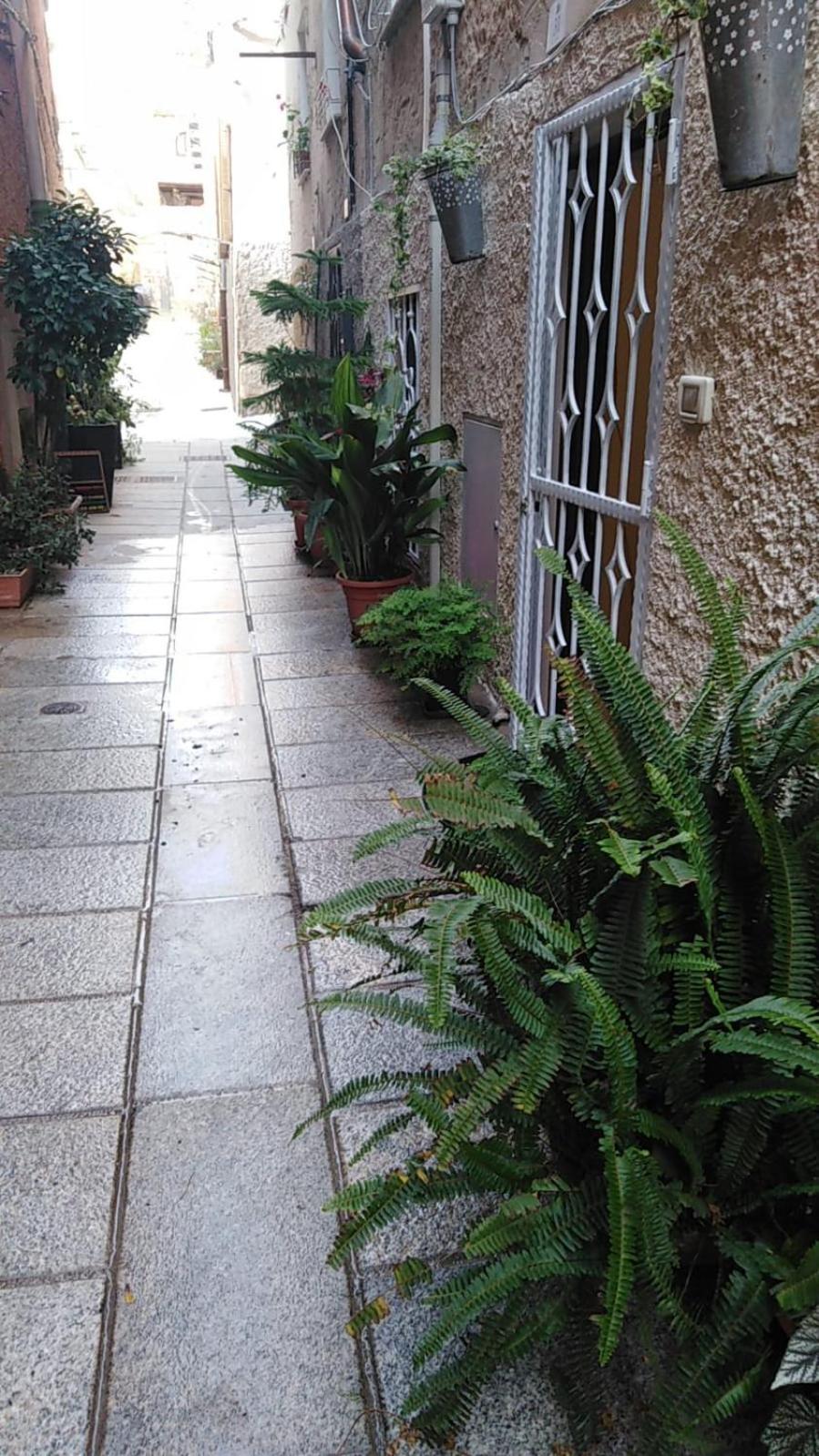 Casa Vacanza Castello Cagliari Ngoại thất bức ảnh